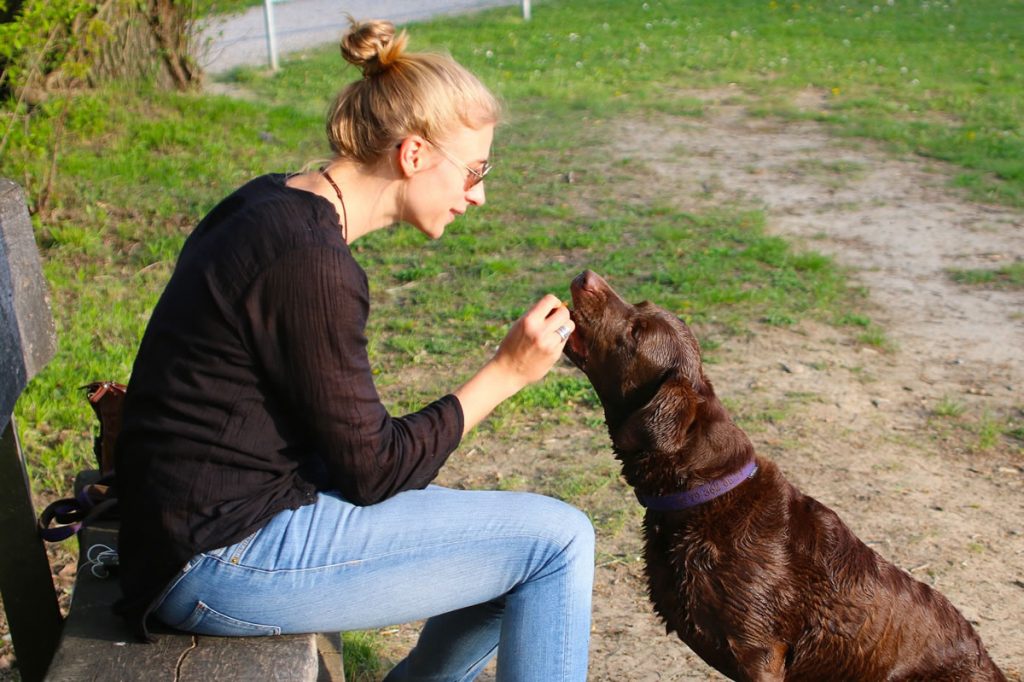 Le clicker training - human 738895 1920